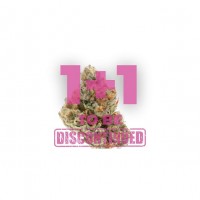 Growers Choice - Chocolate Sherbet