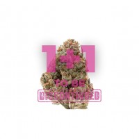 Growers Choice - Octane Fire