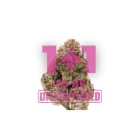 Growers Choice - Silvergrape Sherbet Growers Choice - Silvergrape Sherbet
