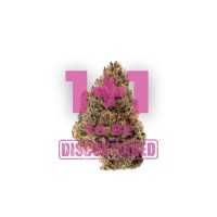 Growers Choice - Tangie Punch Growers Choice - Tangie Punch