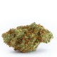 White Fire Gelato by Growers Choice White Fire Gelato rügyek krémes és gyümölcsös aromával