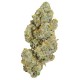 Growers Choice Cherry 7up Autoflower Limited Edition