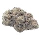 Growers Choice Cherry Zoap Autoflower Growers Choice Cherry Zoap Autoflower kannabisz magok