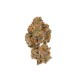 Growers Choice Lemon Cherry Mochi Autoflower Growers Choice Lemon Cherry Mochi Autoflower kannabisz magok