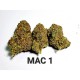 Growers Choice MAC1 Autoflower Growers Choice MAC1 Autoflower kannabisz magok