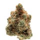 Growers Choice Monkey Glue Autoflower kannabisz magok