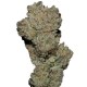 Banana Glue Growers Choice premium gyumolcsos cannabis genetika Growers Choice Banana Glue feminizált kannabisz magok édes trópusi aromával