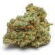Banana Sherbet Growers Choice premium desszert cannabis genetika Growers Choice Banana Sherbet feminizált kannabisz magok krémes gyümölcsös aromával