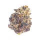 Cherry Mac Muffin kannabisz strain kristályos gyantás virágokkal a Growers Choice kínálatából