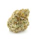 Forbidden Runtz kannabisz strain tömör gyantás virágokkal a Growers Choice kínálatából
