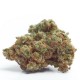 Gorilla Cookies Growers Choice Seeds Gorilla Cookies kannabisz strain sűrű ragacsos gyantával borított virágokkal a Growers Choice kínálatából