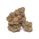 Growers Choice King Louis Garcia Growers Choice King Louis Garcia cannabis seeds
