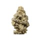 Growers Choice MAC N Cheese Limited Edition Growers Choice MAC N Cheese Limited Edition kannabiszmag