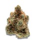 Growers Choice Monkey Glue kannabiszmag