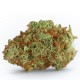 Growers Choice Monsterbud kannabiszmag