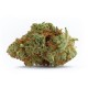 Growers Choice Naranja Biscotti Fast Version kannabiszmag