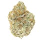 Growers Choice Permanent Whitemarker kannabiszmag