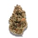 Growers Choice Rainbow Candy Growers Choice Rainbow Candy kannabiszmag
