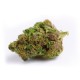 Growers Choice Red Banana Berry Growers Choice Red Banana Berry kannabiszmag