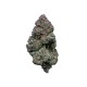 Growers Choice RS11 Growers Choice RS11 kannabiszmag