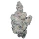 Growers Choice Superboof Hanfsamen