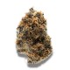 Growers Choice Watermelon Punch Growers Choice Watermelon Punch kannabiszmag