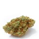 Growers Choice White Fire OG kannabisz magok