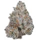 Growers Choice White Truffle Limited Edition kannabisz magok
