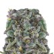 Growers Choice Zkittlez kannabisz magok