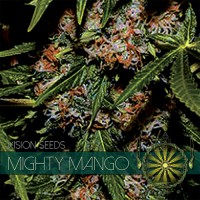 Vision Seeds - Mighty Mango Bud (Feminized) Vision Seeds - Mighty Mango Bud (Feminized)