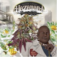 T.H. Seeds - Hazanana by T.H.Seeds™ (Feminized) T.H. Seeds - Hazanana by T.H.Seeds™ (Feminized)