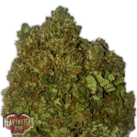 Heavyweight Seeds - MONEY BUSH (Feminized) Heavyweight Seeds - MONEY BUSH (Feminized)