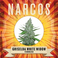 NARCOS Seeds - Griselda White Widow (Feminized) NARCOS Seeds - Griselda White Widow (Feminized)