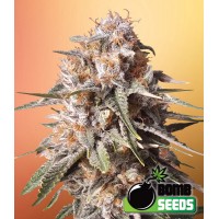 Bomb Seeds - BAKED BOMB (Autoflowering) Bomb Seeds - BAKED BOMB (Autoflowering)