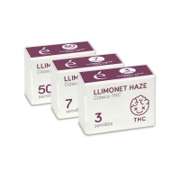 Elite Seeds - LLIMONET HAZE (Regular) Elite Seeds - LLIMONET HAZE (Regular)