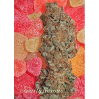 Mandala Seeds - Fruitylicious (Feminized) Mandala Seeds - Fruitylicious (Feminized)