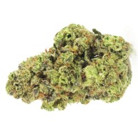 Chronic & Caviar - GMO Cookies (Feminized) Chronic & Caviar - GMO Cookies (Feminized)