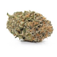 Chronic & Caviar - Gelato #33 (Feminized) Chronic & Caviar - Gelato #33 (Feminized)