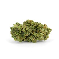 Chronic & Caviar - Magnum (Autoflowering) Chronic & Caviar - Magnum (Autoflowering)