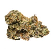 Chronic & Caviar - Gelato #33 (Autoflowering) Chronic & Caviar - Gelato #33 (Autoflowering)