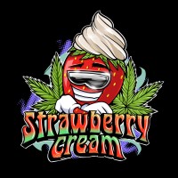 Sumo Seeds - Strawberry Cream (Autoflowering) Sumo Seeds - Strawberry Cream (Autoflowering)