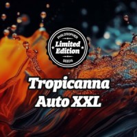 Philosopher Seeds - Tropicanna XXL (Autoflowering) Philosopher Seeds - Tropicanna XXL (Autoflowering)