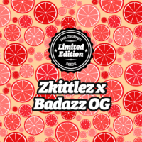 Philosopher Seeds - Zkittlez x Badazz OG (Feminizált) Philosopher Seeds - Zkittlez x Badazz OG (Feminizált)