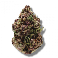 Growerschoice - Pink Magic fast version (Feminizált)
