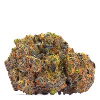 Growerschoice - San Fernando Valley x The Purps (Feminizált)