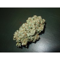 Homegrown Fantaseeds - Blue Haze (Feminized) Homegrown Fantaseeds - Blue Haze (Feminized)