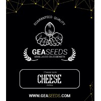 Gea Seeds - Cheese (Feminized) Gea Seeds - Cheese (Feminized)