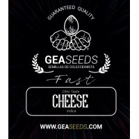 Gea Seeds - Fast Cheese (Feminized) Gea Seeds - Fast Cheese (Feminized)