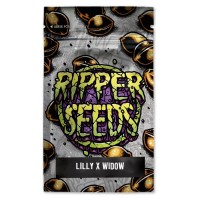 Ripper Seeds - Lilly x White Widow (Feminized) Ripper Seeds - Lilly x White Widow (Feminized)