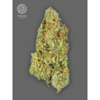 Bulldog Seeds - TB Gorilla (Autoflowering) Bulldog Seeds - TB Gorilla (Autoflowering)
